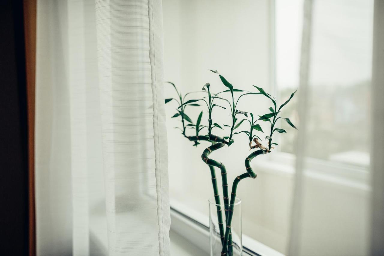 Pine Apartment Visaginas Εξωτερικό φωτογραφία