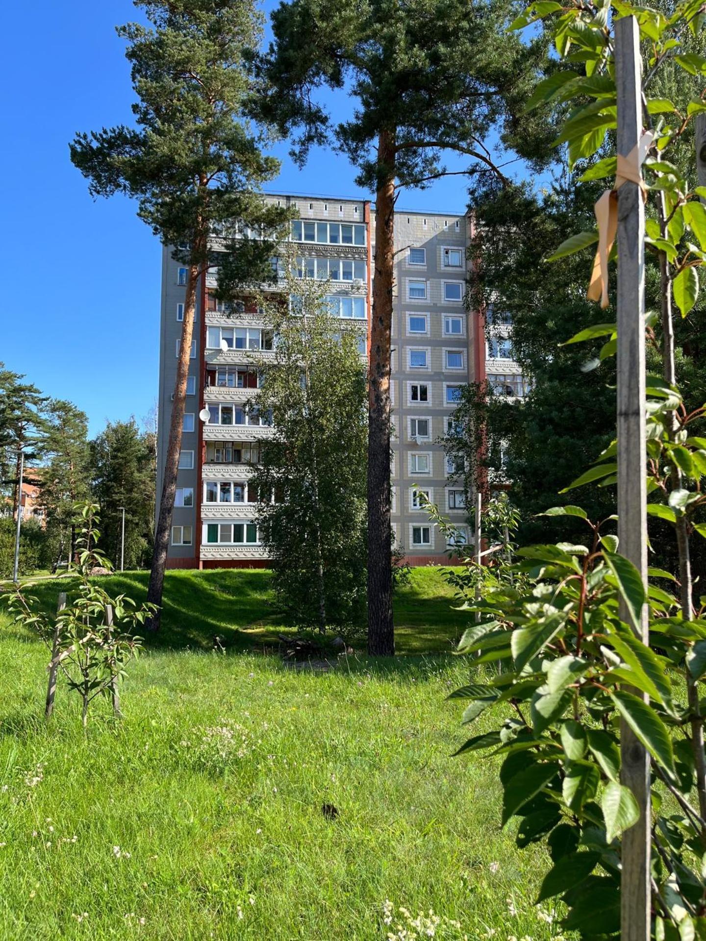 Pine Apartment Visaginas Εξωτερικό φωτογραφία